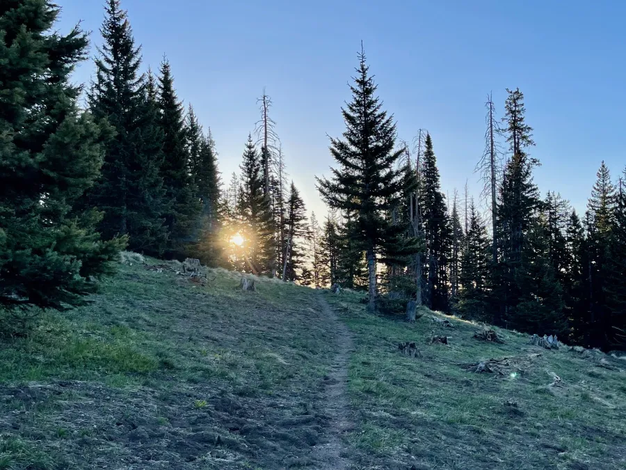The sun rises above a frosty ridge