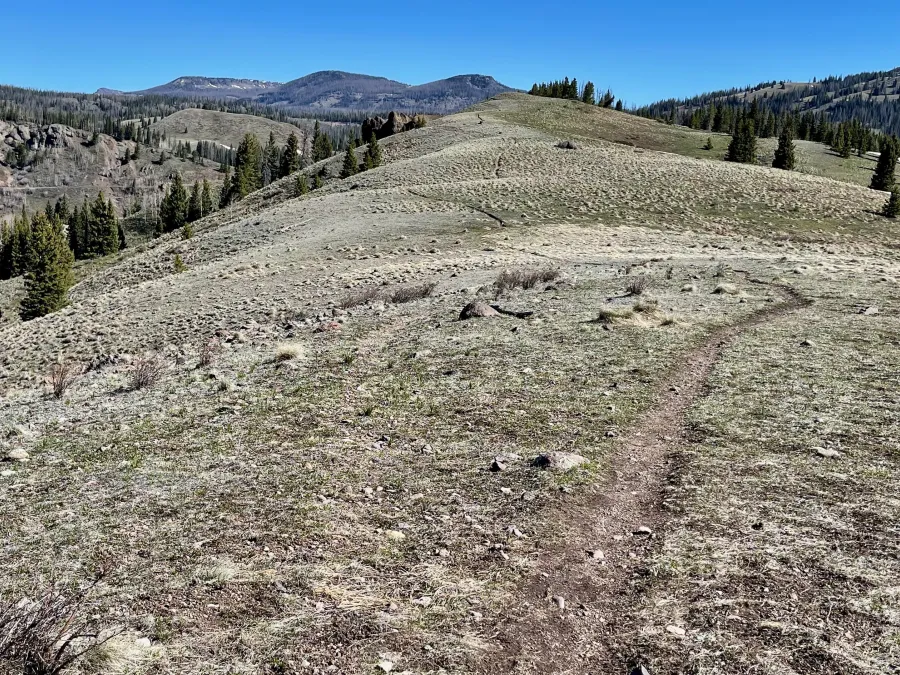 The CDT crosses a long, grassy ridge