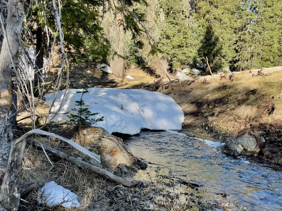 A snow bridge over Dixie Creek