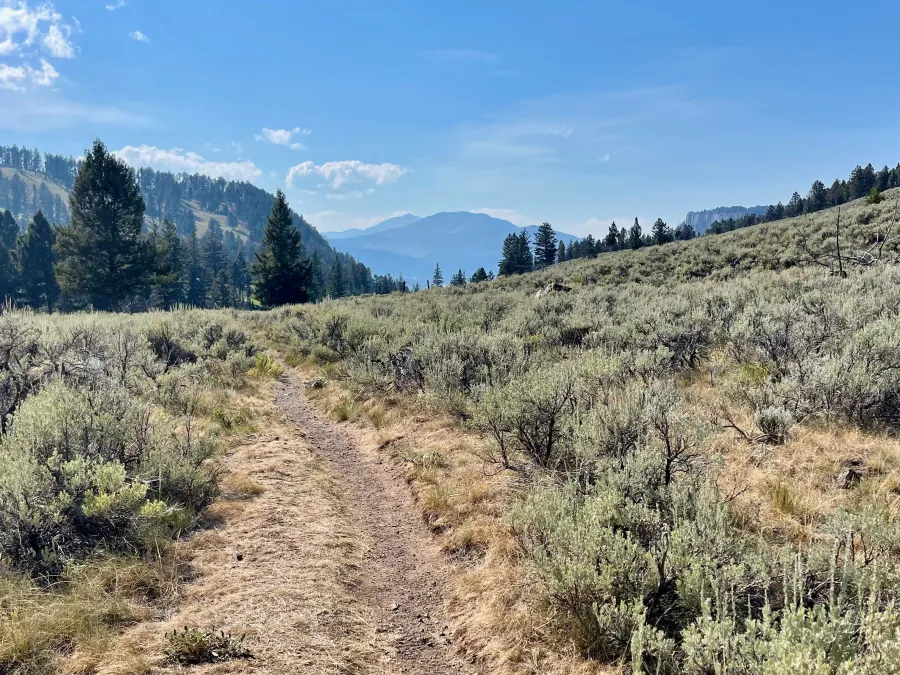 Lava Creek Trail