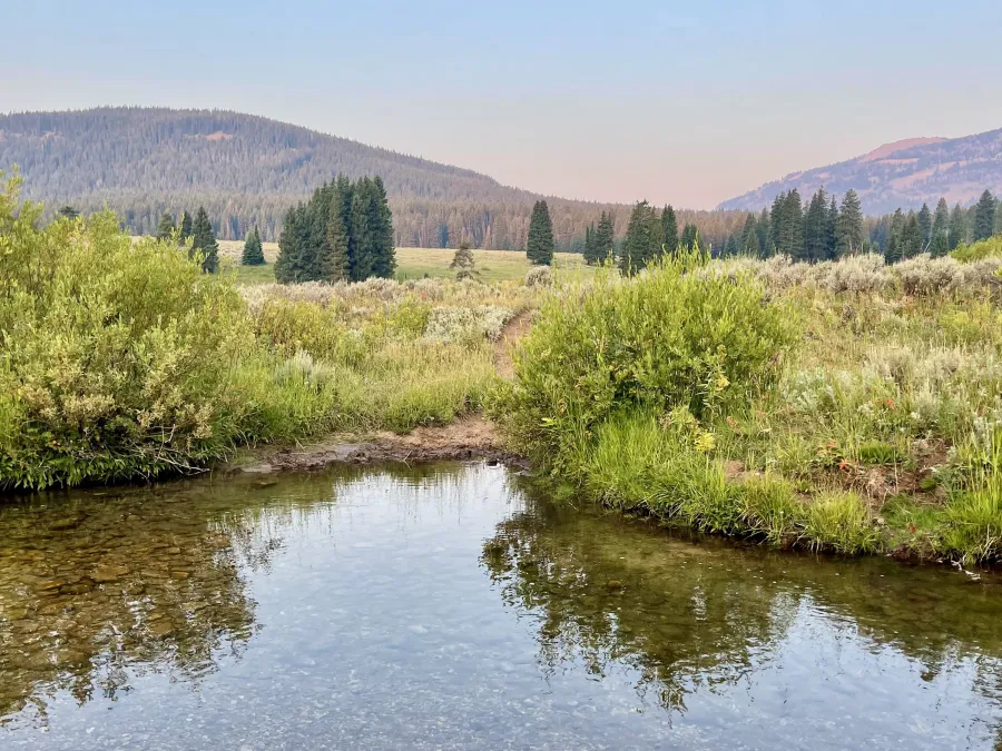 Fawn Creek