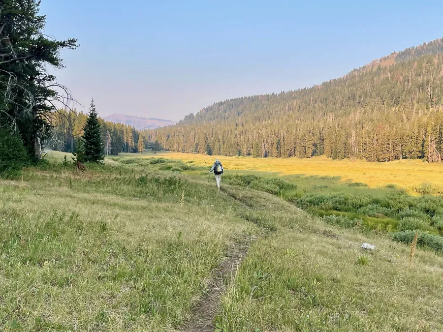 Walking along Fawn Creek