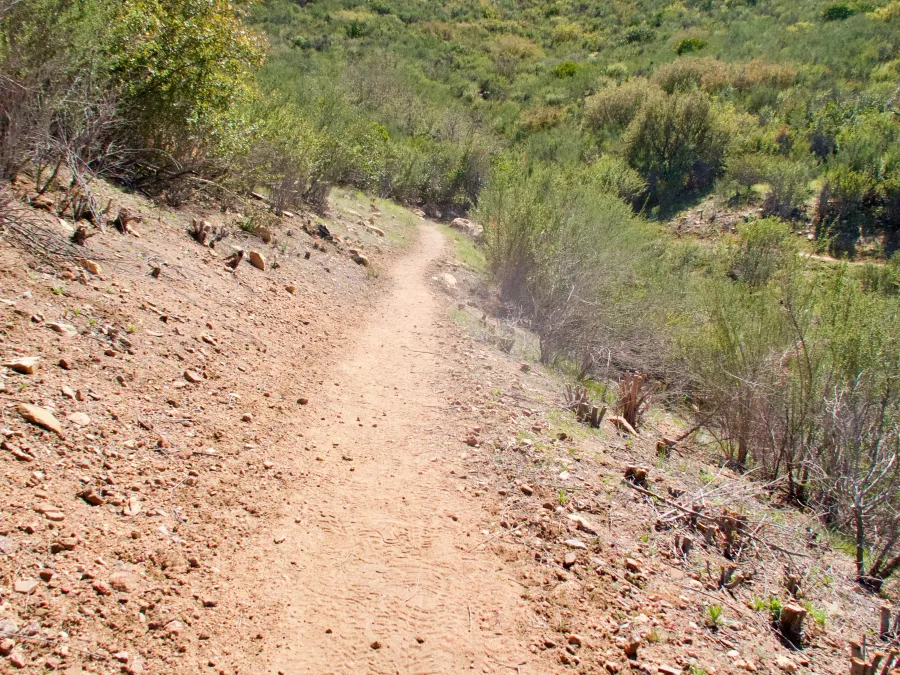 Easy trail