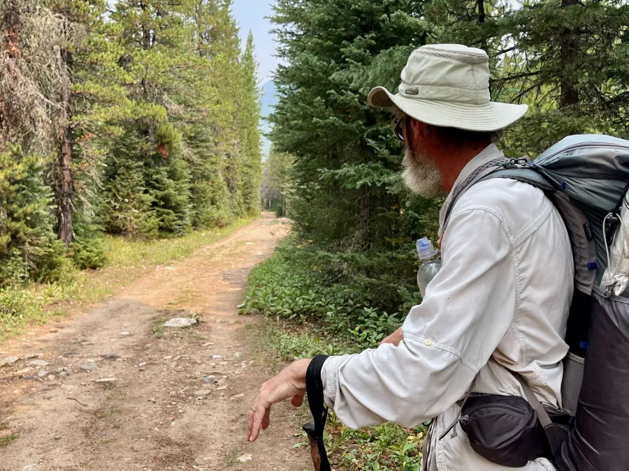 Top O' catches sight of two bears