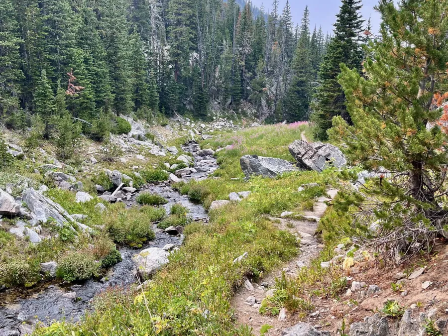 South Fork Spanish Creek