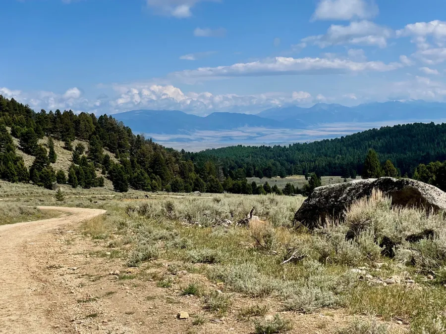 A view of the Madison mountain range