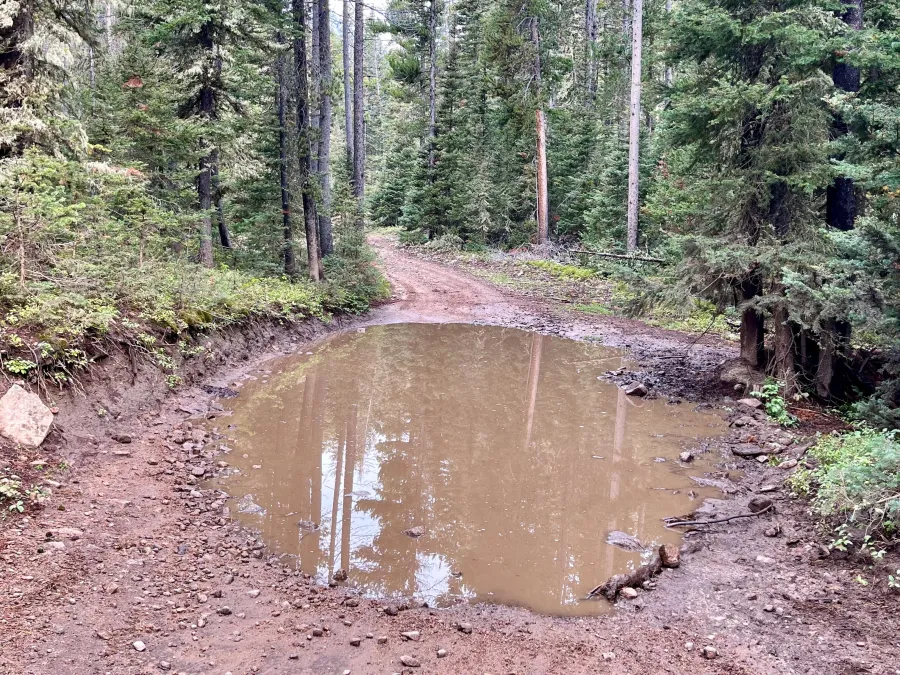 A large puddle fills the width of the road