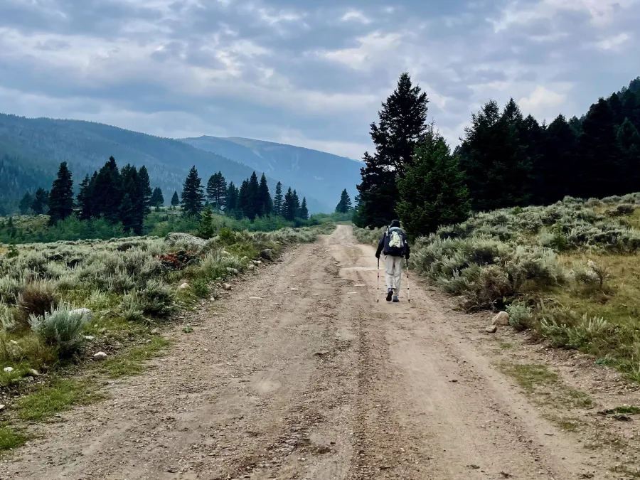 Top O' walks on a gravel road