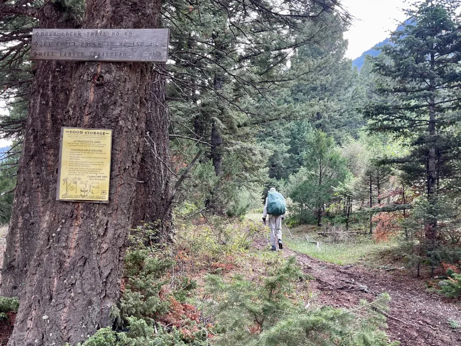 Arriving at Rock Creek Trail