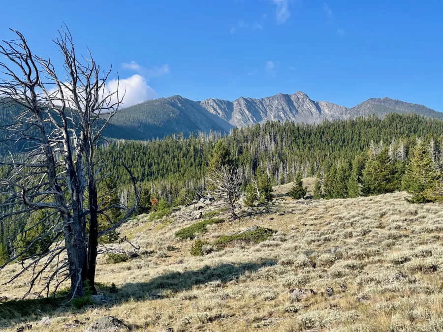 Manhead Mountain stands in the distance