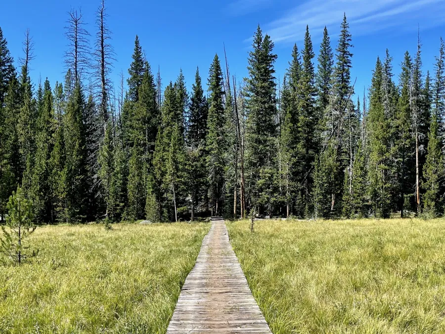 A boardwalk at Halfway Park