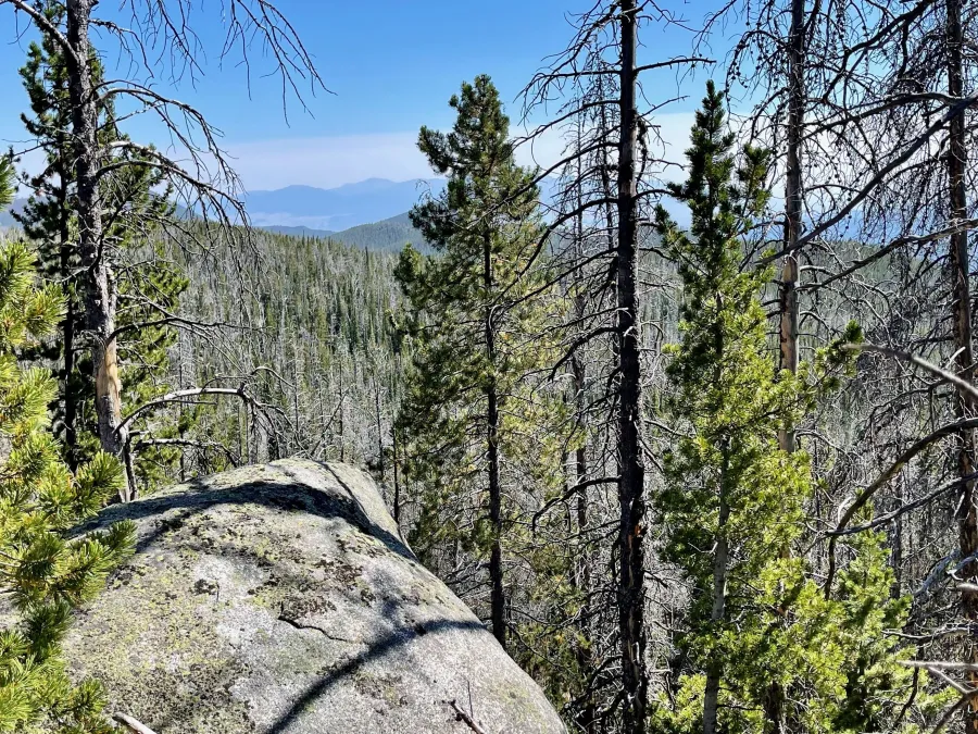 A last look at the Tobacco Root Mountains