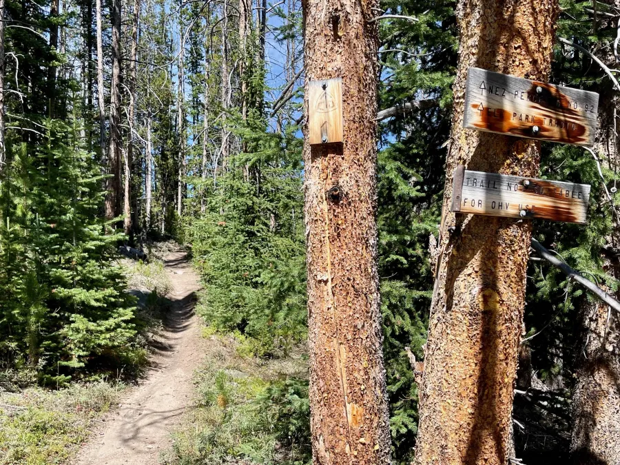 A junction with the Nex Perce Trail
