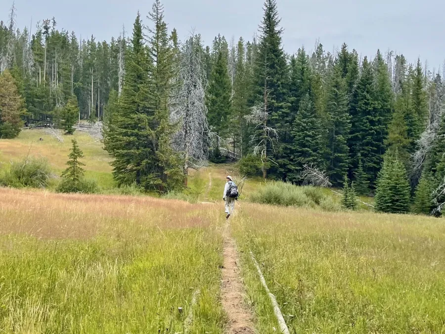 The trail crosses a meadow