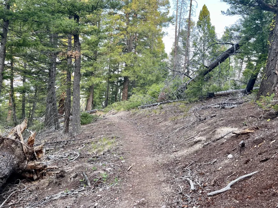 The CDT crests a ridge