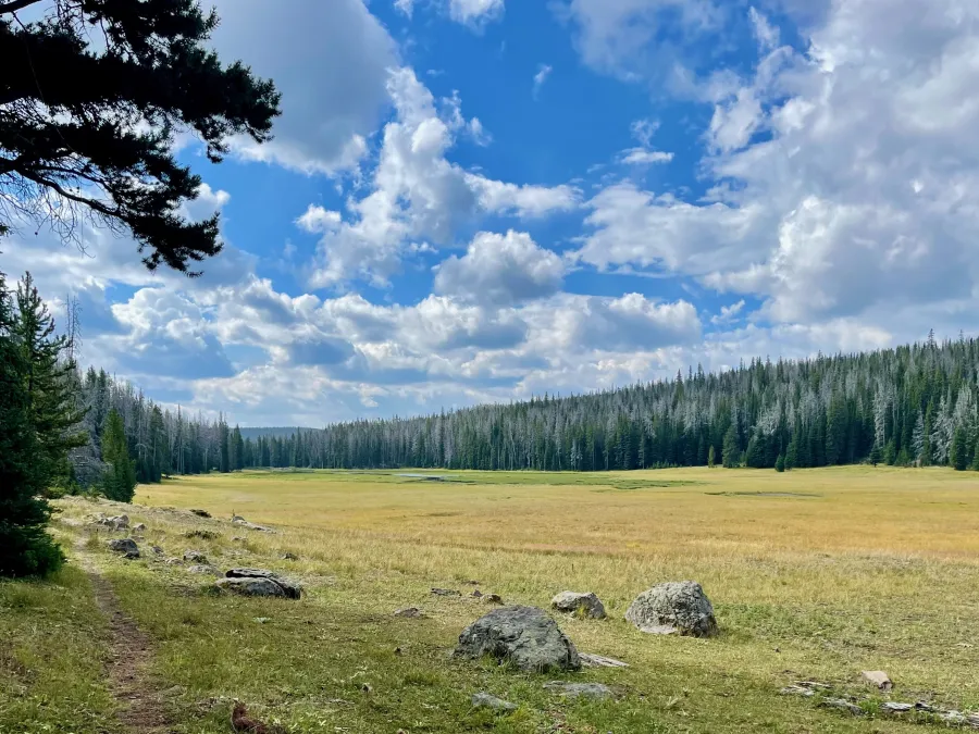 Cottonwood Lake