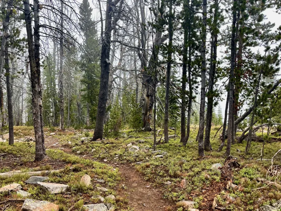 Fog over Thunderbolt Mountain