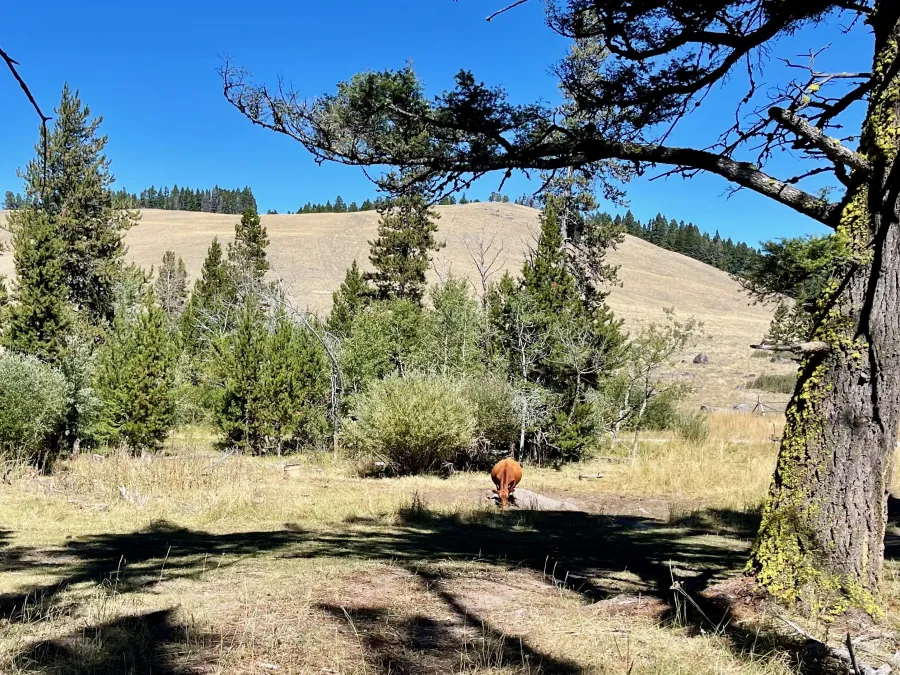 Priest Pass