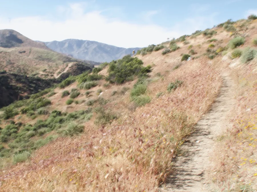 Distant hiker