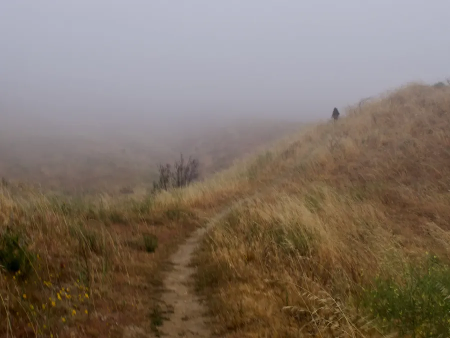 Thick fog