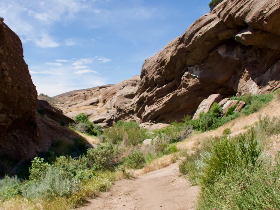 Canyon in Vasquez Park