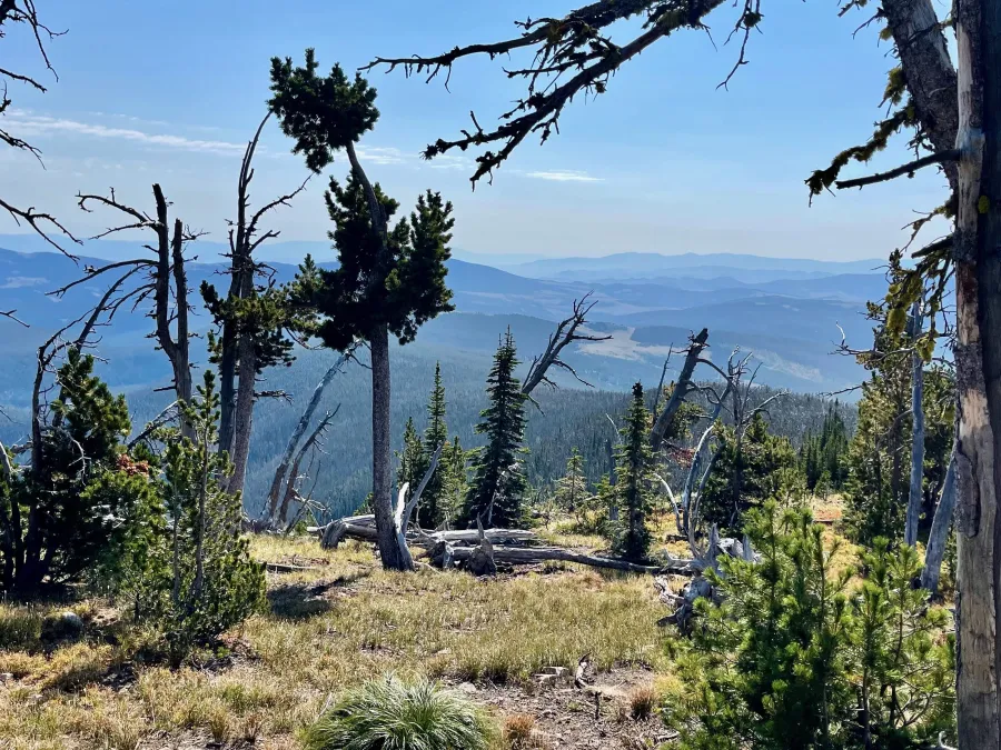 A view from Black Mountain