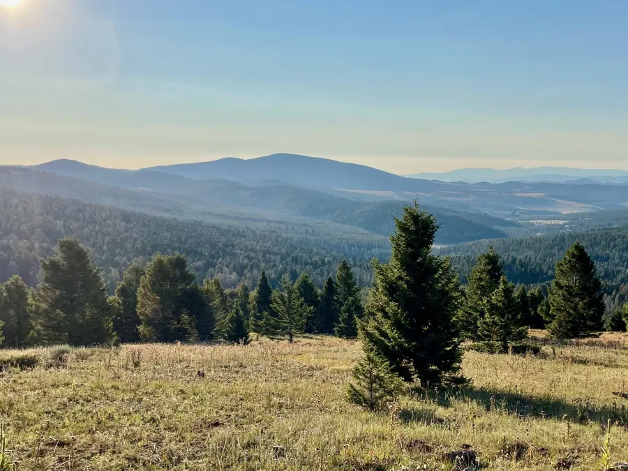 A morning view from Meyers Hill