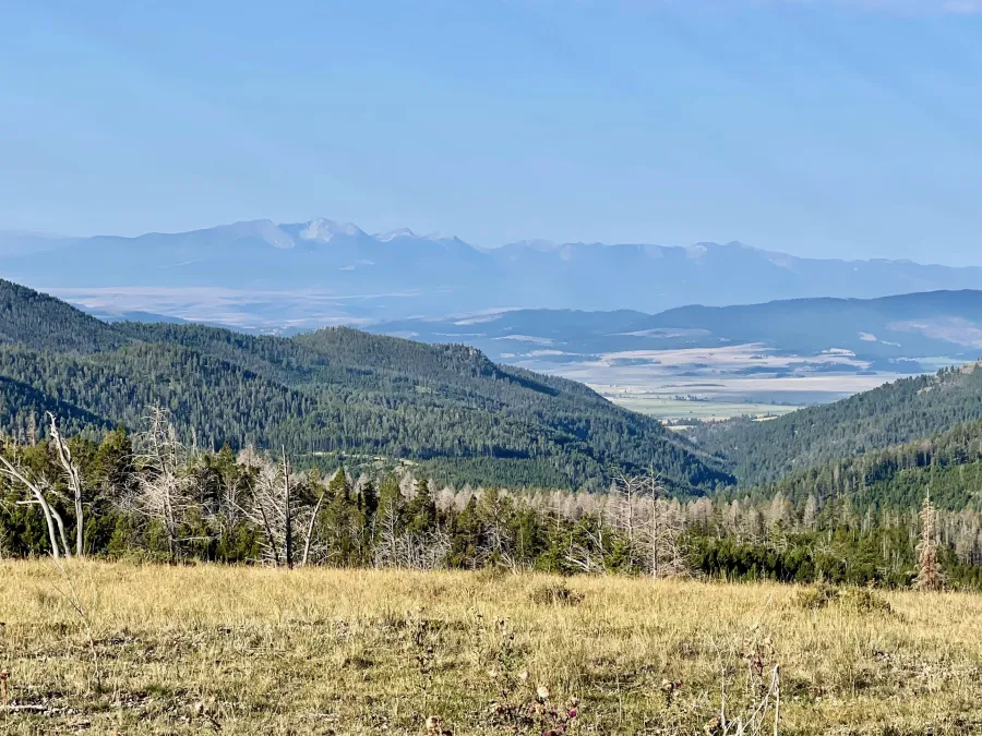 A view of Flint Creek Range