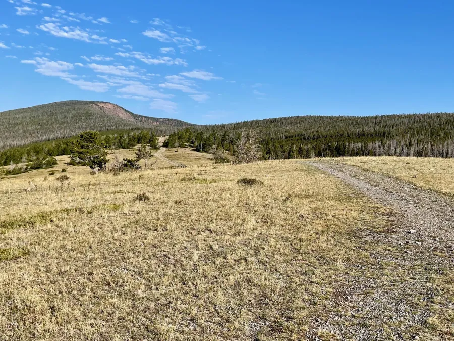 Rolling hills leading to Black Mountain