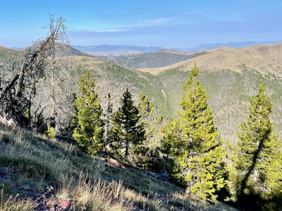 A high view across a valley
