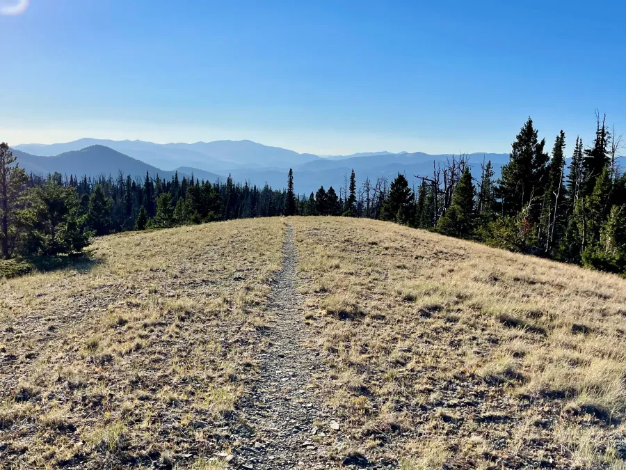 The trail leading to our campsite