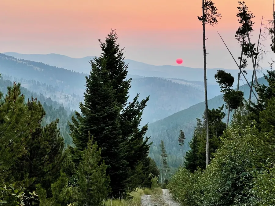 The sun is rising through a smokey sky