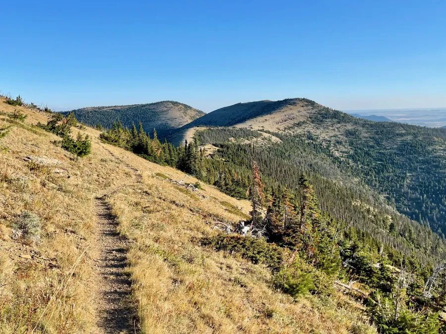 A view from an exposed ridge