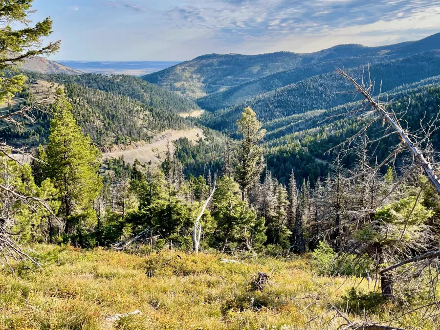 A view of Montana Highway 200