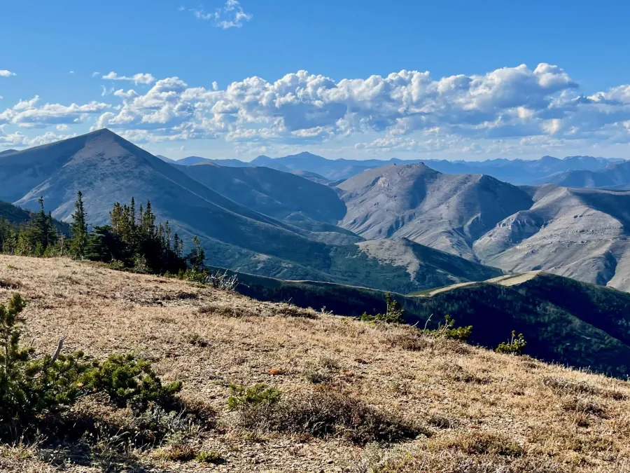Scapegoat Wilderness