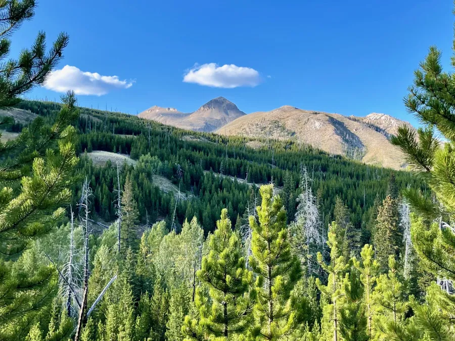 Looking up to mountains