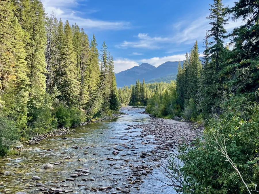 South Fork Sun River