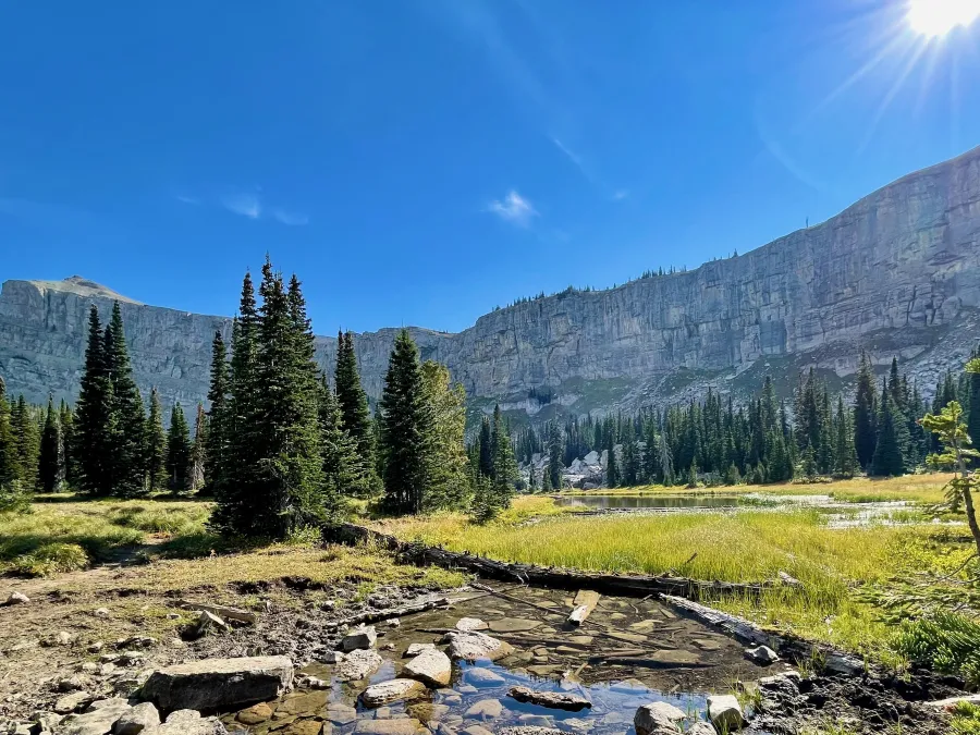 Moose Creek and the Chinese Wall