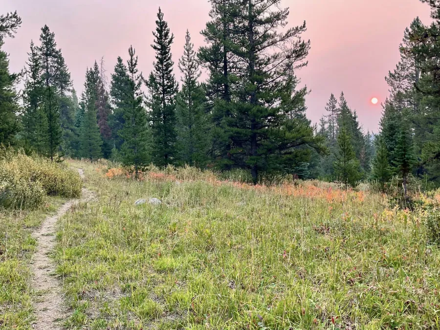 The trail with a low sun