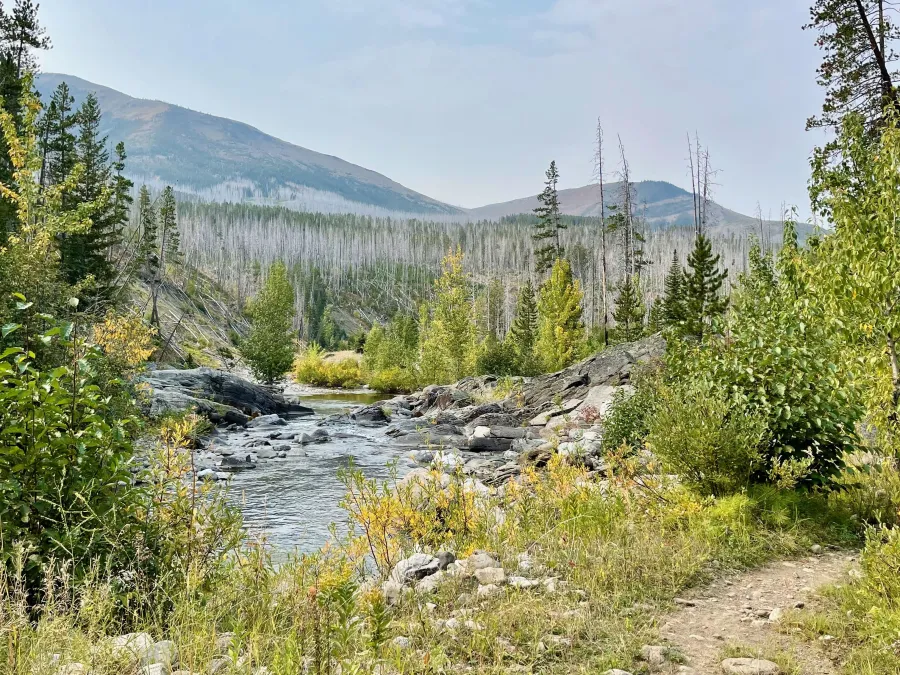 South Fork Two Medicine River