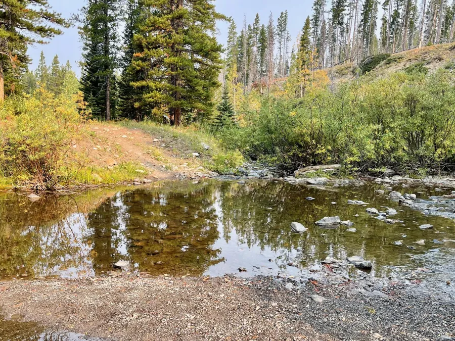 South Fork Two Medicine River