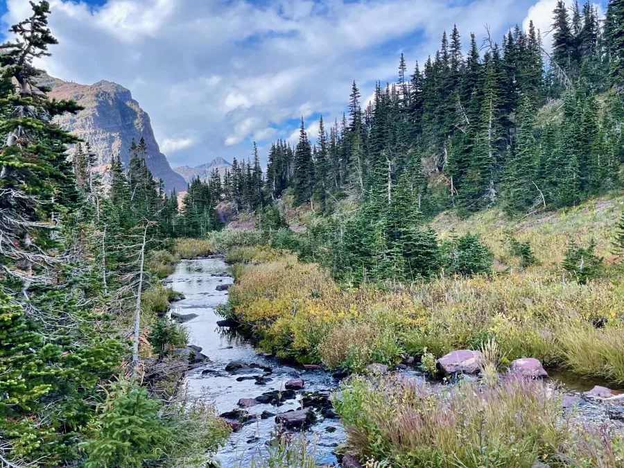 North Fork Cut Bank Creek