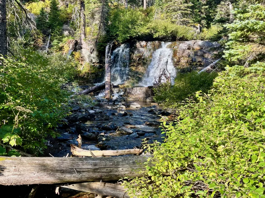 A waterfall on Atlantic Creek