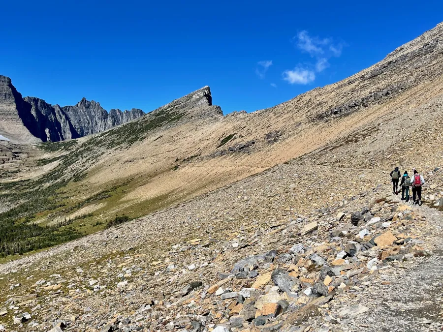 Climbing to Piegan Pass