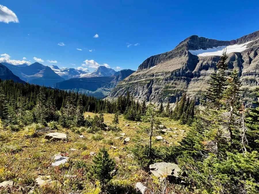 A view of Jackson Glacier