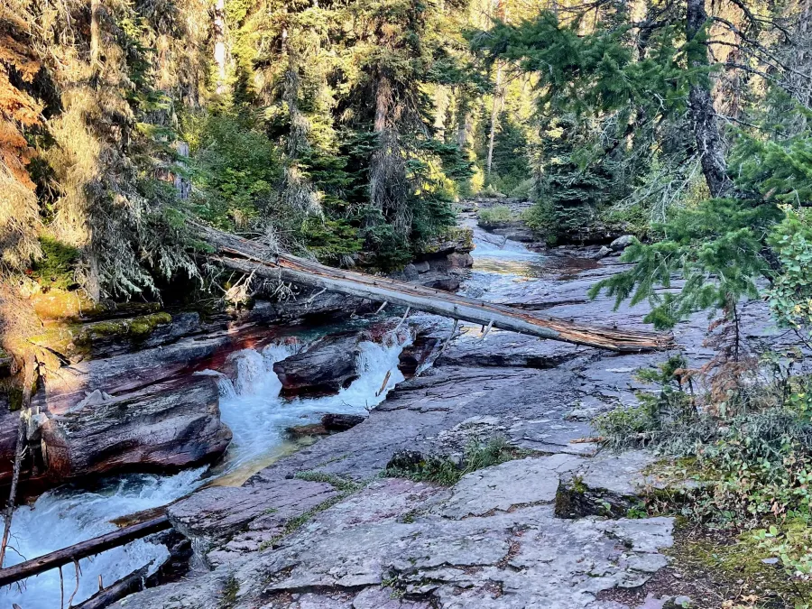 Reynolds Creek