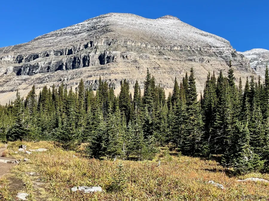Snow on Mt. Siyeh
