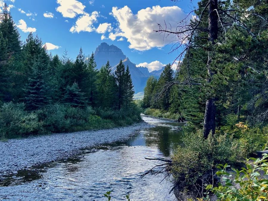 Swiftcurrent Creek