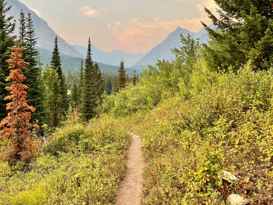 The trail to the border