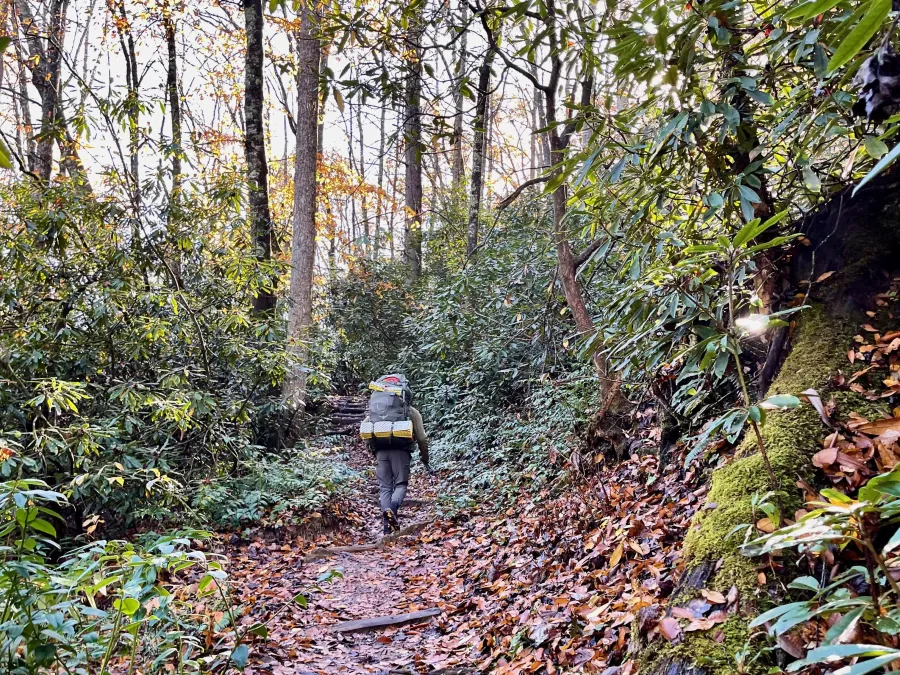 A climb on the Art Loeb Trail